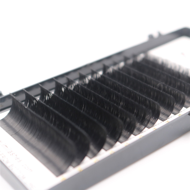 volume individual lashes.JPG